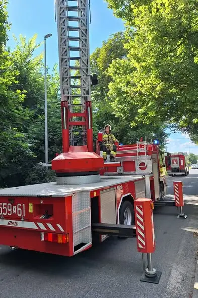 Trzy interwencje OSP Połczyn-Zdrój w dwa dni: usuwanie drzew i owadów