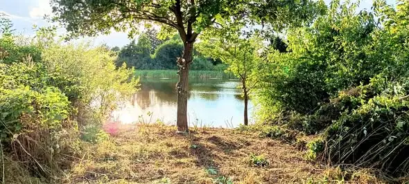 Teren rekreacyjny nad stawem w Batyniu – idealne miejsce na wypoczynek i kontakt z naturą