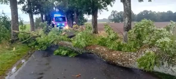 Silny wiatr nad gminą Połczyn-Zdrój. Cztery interwencje strażaków w jeden dzień