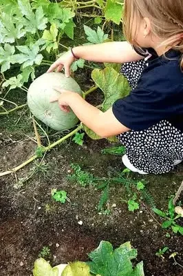 Jesienna suknia z darów natury – szkolny projekt w Świdwinie