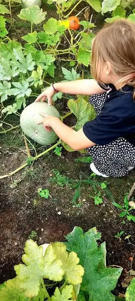 Jesienna suknia z darów natury – szkolny projekt w Świdwinie