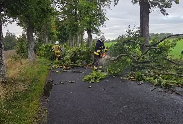 Silny wiatr nad gminą Połczyn-Zdrój. Trzy interwencje strażaków jednego dnia