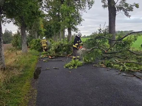 Silny wiatr nad gminą Połczyn-Zdrój. Trzy interwencje strażaków jednego dnia
