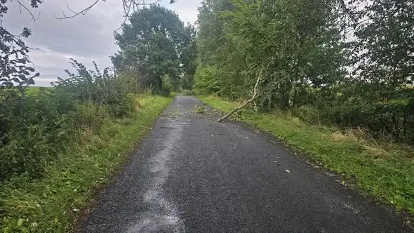 Jezierzyce: drzewo na drodze, interwencja strażaków (wyjazd 58/2026)