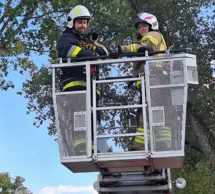 Kot utknął na drzewie na trzy dni. Strażacy z OSP Połczyn-Zdrój ruszyli na ratunek